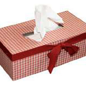 Kit para hacer Caja para Pañuelos